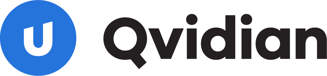 17_Qvidian Mini